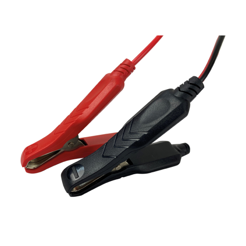 Chargeur de batterie professionnel 12/24V